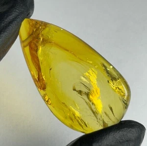 NATURAL MEXICAN PERFORATED PEAR AMBER CABOCHON 32,5 Cts/6,5 grams. REAL AMBER - Picture 1 of 8