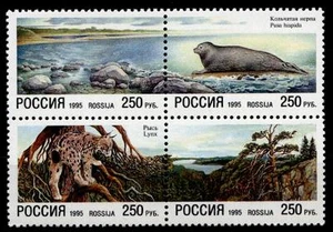 Naturschutz. Ostseeküste, Lappländische Tundra, Tiere u.a. Luchs.4W.Rußland 1995 - Bild 1 von 1