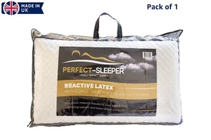 Bounceback Latex High Profile Pillow 100% Natural Eco Friendly Pillow Pack Of 1 - Picture 1 of 2