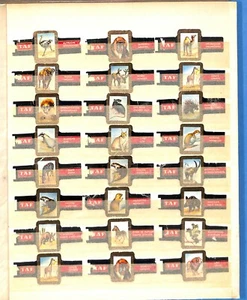LOT OF 30 VINTAGE CIGAR BANDS - ANIMALS (TAF) (0112-15) - Picture 1 of 2
