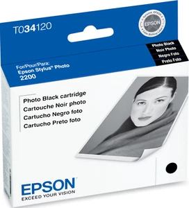 New Genuine Epson 34 T0341 Photo Black Ink Cartridge, Stylus Photo 2100 Bag - Picture 1 of 3