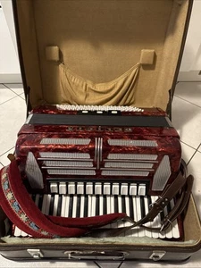 Fisarmonica Delicia 14 XIV Corale con custodia 120 bassi 14 registri pronti da suonare - Foto 1 di 6