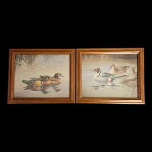 Coppia stampe anatra incorniciate di Nichols - anatre e pintails in legno Waterfowl Art 10x12 - Foto 1 di 7