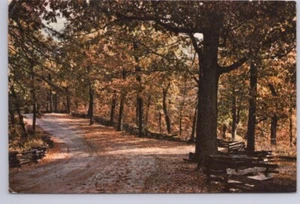Ozark Autumn, 1973 Postcard, Muscular Dystrophy Slogan Cancel - Picture 1 of 2