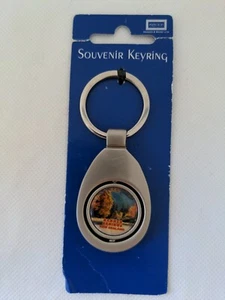 New Zealand Hanmer Spring Souvenir Keyring - Picture 1 of 2