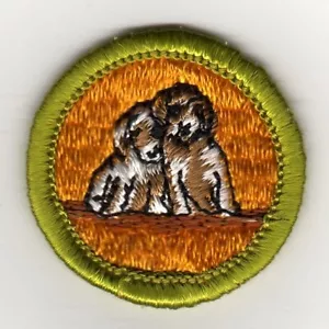 Distintivo Dog Care Merit, Tipo G, Schiena in tessuto (1961-71), nuovo di zecca! - Foto 1 di 1