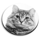 Round MDF Magnets - BW - Grey Tabby Cat Kitten Eyes #42981