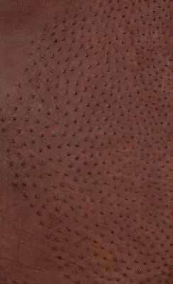 Piel de cuero de avestruz color burdeos SF Foto 1 de 4