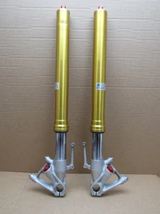 BMW S1000RR 2012 fork tube stanchions (5562) - Picture 1 of 17