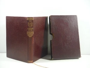 The Black Tulip by Alexandre Dumas Arthur A Dixon classic fiction 1934 slip-case - Picture 1 of 16
