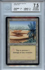 MTG Arabian Nights Oasis BGS 7.5 NM+ Card  Magic the Gathering WOTC 9955