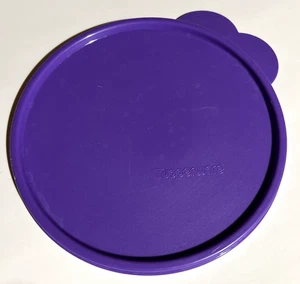 Tupperware Replacement Lid Seal Butterfly Tab Purple 2541D-4 - Picture 1 of 7