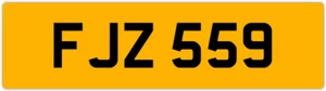 FJZ 559 F 3X3 DATELESS PRIVATE NUMBER PLATE FIN FIONA FRED FAS FAZ FRAN FERN FAY - Picture 1 of 1