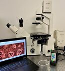 Microscope phase de fluorescence à large bande inversée Zeiss Axiovert 100 + caméra