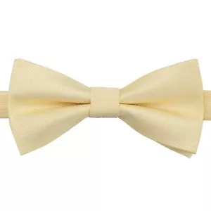Pale Yellow Plain Twill Mens Casual Formal Wedding Pre-Tied Bow Tie by DQT - Picture 1 of 3