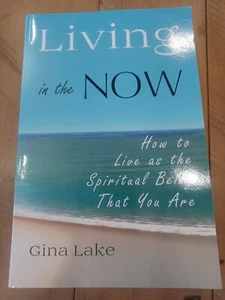 Lake Gina-Living In The Now BOOK NEW - Picture 1 of 8