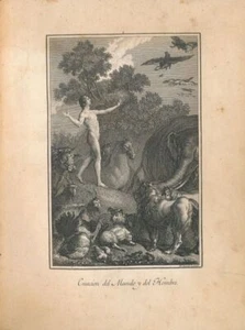 Recueil de 116 planches de La Biblia Vulgata latina - Picture 1 of 1