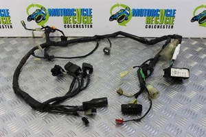 Honda XRV 750 Africa Twin Wiring Harness Loom Main 1996 to 2003 RD07A B074 - Picture 1 of 11