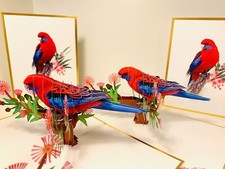 Origami Pop Cards LUXURY Aussie Crimson Rosella Bird Greeting Pop Card Birthday