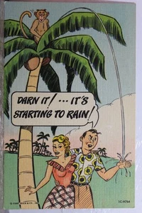 Comic Cartoon Starting to Rain Postcard Old Vintage Card View Standard Souvenir - Picture 1 of 2