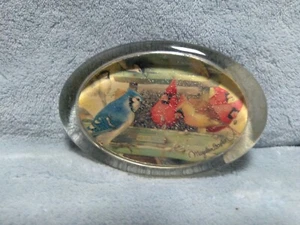 Marjolein Bastin Glass Magnifier Paperweight Blue jays and Cardinals at feeder - Picture 1 of 7
