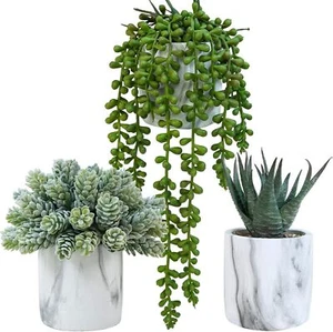 Winlyn Set of 3 Small Artificial Succulent Potted Plants Fake Aloe Hops Green - Picture 1 of 9