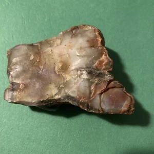 Petrified Wood Looks Like A Face On It - Picture 1 of 12