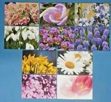 Set of 10 NEW Spring Flowers Postcards for Postcrossing & Postcardsofkindness