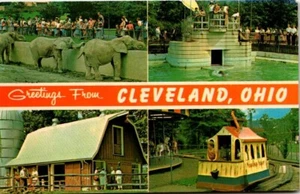 Chrome Postcard Banner Cleveland Ohio Zoo Toonville Trolley Elephants Farm - Picture 1 of 2