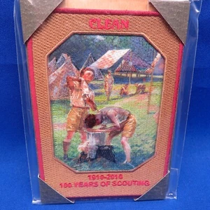 Pfadfinder 2010 100 Jahre Pfadfindergesetz sauberer Aufnäher von Hintermeister 255C1 - Bild 1 von 4