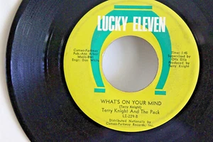 GARAGE PSYCH 45 - TERRY KNIGHT & PACK - A CHANGE ON THE WAY & What's On Your - Picture 1 of 4