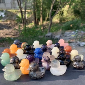 40 piezas Mezcla Natural Cuarzo Tallado Pato Calavera Cristal Reiki Gema Curativa Halloween - Imagen 1 de 8