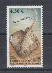 Peces animales marinos Antártida francesa TAAF 565 ** (mnh) - Imagen 1 de 1