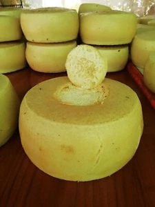 Eine Form von Casu Marzu - Der berühmteste sardische Käse der Welt - Bild 1 von 2