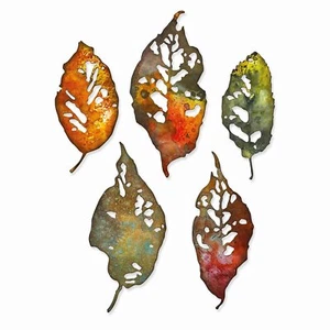 Thinlits Die Set 5PK Leaf Fragments by Tim Holtz, 665559 - Bild 1 von 3