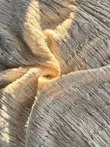 Neutral Undyed Textured Cotton Stretchy Crinkle Fabric By 2 Meters. - Picture 1 of 19