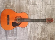Acoustic Guitar Maxtone WGC360