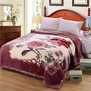 2-Ply Thick Heavy Fleece Blanket 4.4/6.6/7.7lb Printed Silky Soft Warm Blanket - Picture 1 of 29