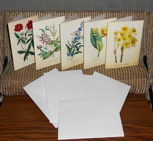 DE COLECCIÓN SIERRA CLUB TARJETAS DE FELICITACIÓN EN BLANCO ÁLBUM DE RECORTES BOTÁNICO FLORES SILVESTRES SIN USAR - Imagen 1 de 2