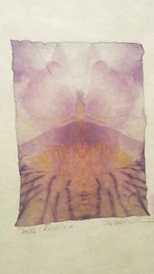 Sigrid Vollerthun Original Abstract Photography Iris Chalice On Japanese Paper - Picture 1 of 11