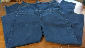 Gloria Vanderbilt Womens Amanda Blue Jeans Size 20W Short 2 Pairs 5 Pockets  - Picture 1 of 9