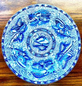 Mothaedeh Torquay blau & weiß Teller Muschelmuster von VA Portugal 8,5" EUC - Bild 1 von 5