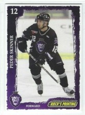 2008-09 Reading Royals (ECHL) Peder Skinner