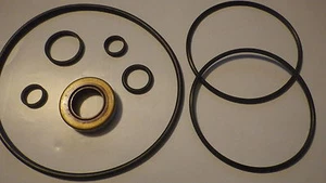 Power Steering Pump Seal Kit #SK507 Dodge Jeep Ford Saginaw Type - Picture 1 of 4