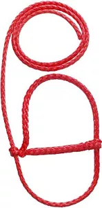 Red Calf & Sheep Poly Halter - Picture 1 of 1