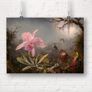 Martin Johnson Heade: Three Hummingbirds. Fine Art Print/Poster - Picture 1 of 1