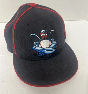 Rare Vintage Lakewood Blue Claws Minor League Baseball New Era Hat Cap USA 7 1/2 - Bild 1 von 8