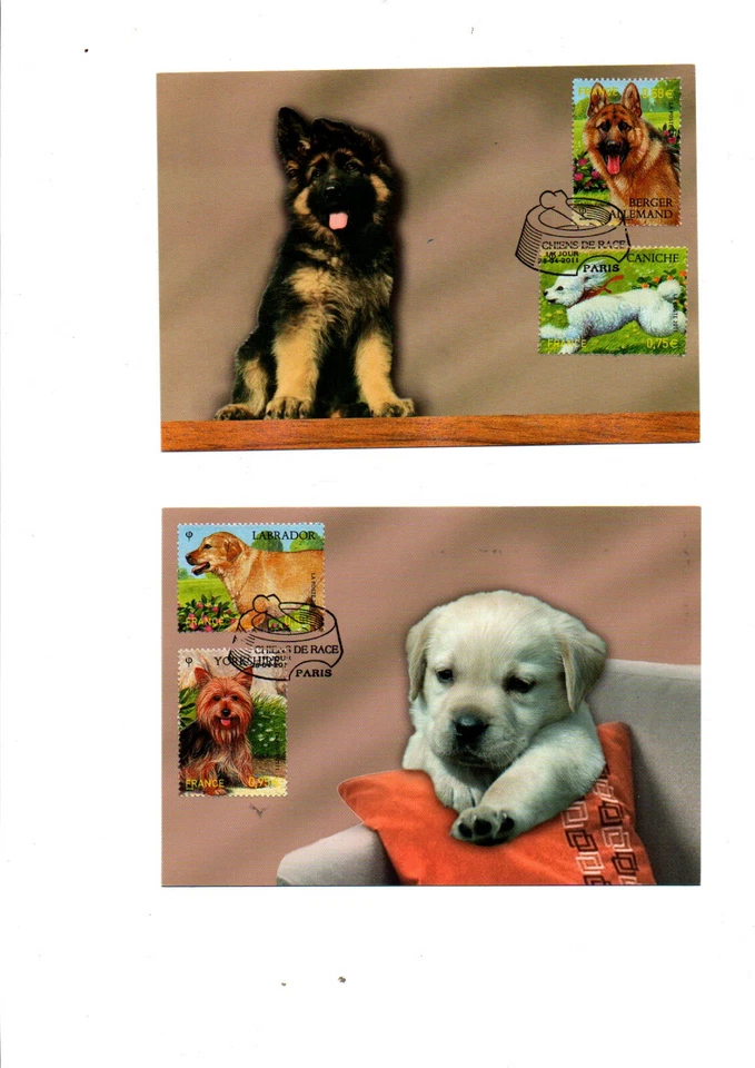 2 cartes postale du premier jour (1er jour) de 2010 avec les timbres n°4545/4548 - Photo 1/1