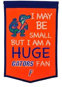 Gran pancarta de abanico de University of Florida Gators - Imagen 1 de 4