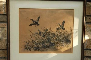 RARE 1ST STATE 1928 ETCHING BY ROLAND CLARK CALLED "GREEN WING" - Picture 1 of 12